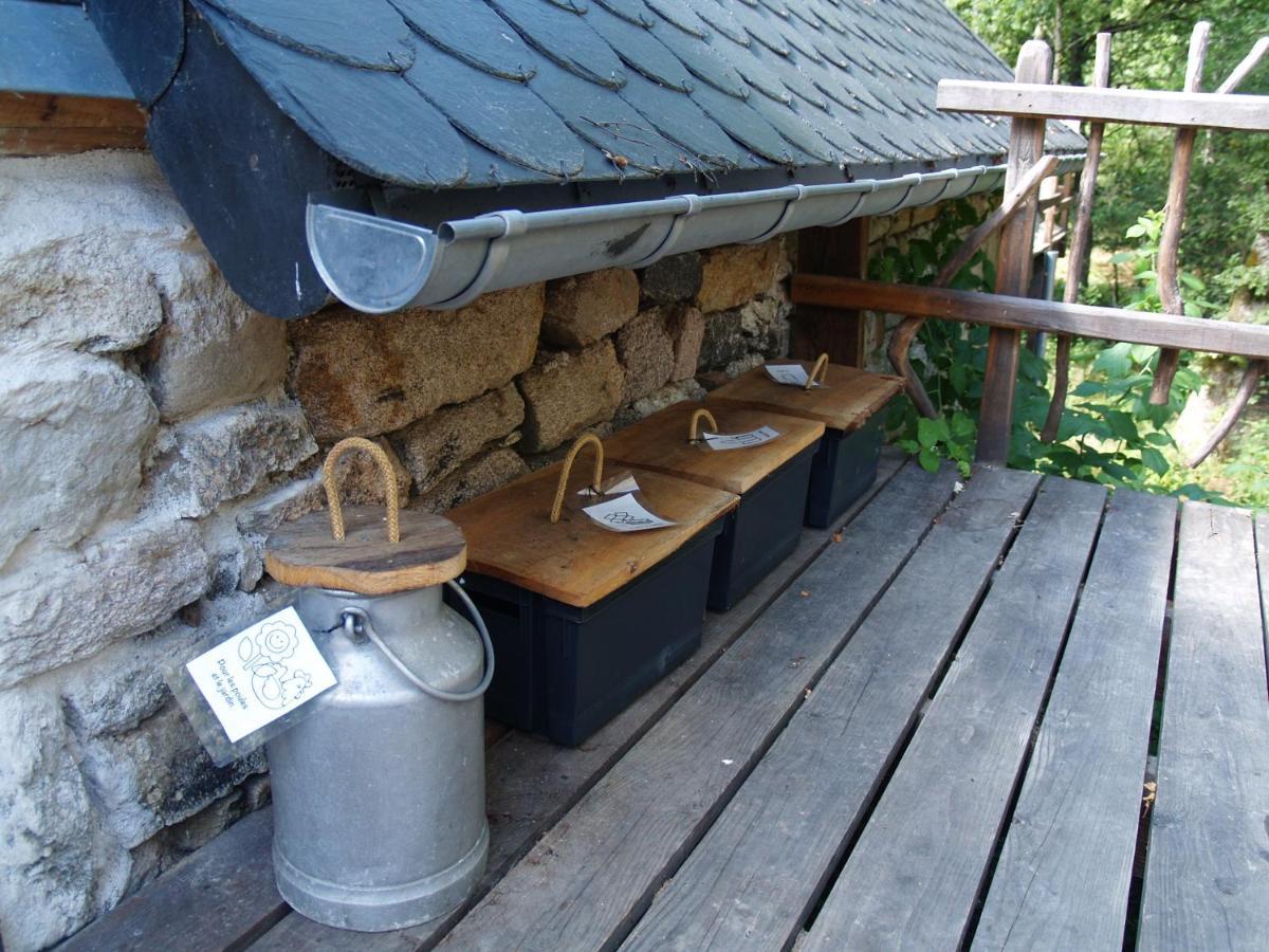 Gite Nature Le Moulin Vitrac-sur-Montane Exterior photo